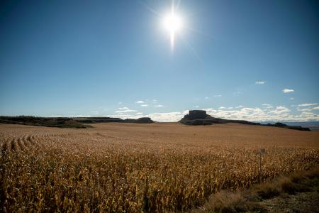 Una tormenta arrasa el 90% de la alfalfa y el maíz en Huerto